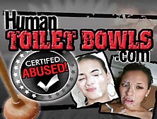 human toilet bowls nasty fuck: Blowjob,  Amateur & Hardcore Porn
