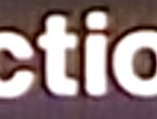 Brigitte Lahaie,  Cathy Stewart,  Élodie Delage,  Céline Galone,  Jane Baker - Les Petite Ecolieres (1980)