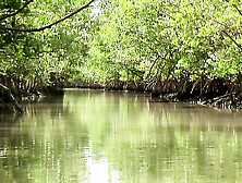 Ass Delivery Vol. 1 - Episode 2