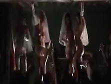 Lea 2011.  myegyforadult. com