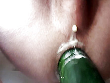 Sissy Bussy Rails And Jizzes From Ample Cucumber Oftentimes Addicted