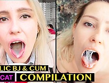 Watch sneaky Kisscat's action