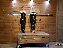 Sandra Cat Ami Boomer 2