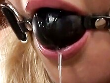 Bound for Bliss A Lesbians Descent into Kink