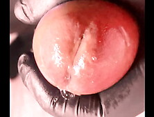 Between Couple and Betrayals: The Hidden Lives of Actors and Actresses in Bed,  on a Plane,  and Beyond Fuck your butt go spunk An