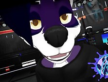 Furry Femboy Wrestling