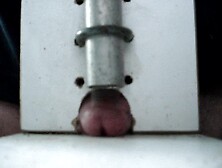 Glans being hammered