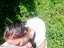 German milf gets her holes stuffed while berry picking and leaks completely
