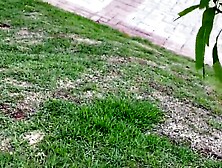 Fodendo o homo sem camisinha que conheci na praça pública