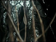 demon attacks in woods