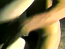 White Wife Enjoys 18 inch Big Black Cock SUCK FUCK