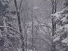 Christmas Horror Stories that took Place During Snowstorms