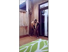 Tik Tok Hot Girls goddess Pants Pantyhose Compilation Part 23