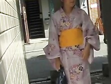 Sexy Little Geisha Flashes Her Boobies During Some Wild Sharking Meeting