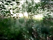 from where came this curious noise into the park