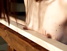 Pain gate barbwire,  nails and needles