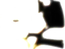 Licking my friend's feet