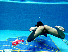 Sazan On And Underwater Naked Swimming