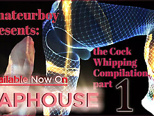 Amateurboy Presents The Cock Whipping Compilation Part 2 Faphouse Promotional