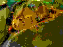 Sheena Shaw In All About Ass