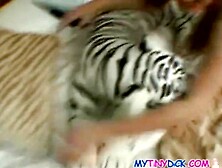 Schoolgirl slurping on his tiny schlong