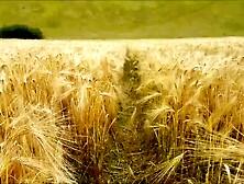 Thrilled alphaninja7 at close up clip