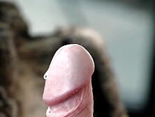 Moaning loudly the sexy babe rides her lovers cock