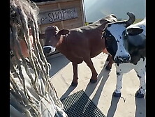 Spending some times in the swiss alps with lily lu Z filmz ️