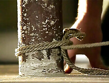 Daisy Duxe between the poles