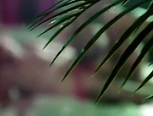 Marilyn Dazzles in Outrageous 80's Anal and DP Orgy! 1.