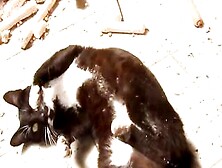 MAMACITAZ - #Yuly Perdomo - Fiery Colombiana Loves To Be Asked For Sex