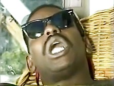 Purple Passion & Steve Harper