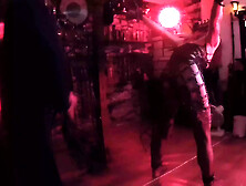 Part 3.  Allegro’s First Time With Lanista Bear