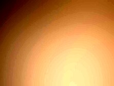 Uccelli in Paradiso - Video two