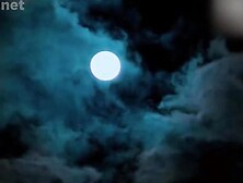 Sasuraal Web Series 18+