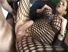 Fucked In Fishnet