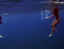 Sea Adventures On Tenerife Underwater