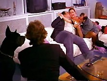 Navalha na Carne RELOADED