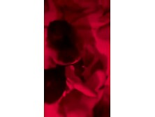 Group Sex with Friends at Home