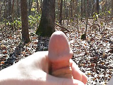 in the woods,  ritalin penis shrinkage