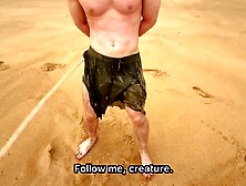 2 Pirate Beauties In Search Of Golden Rods