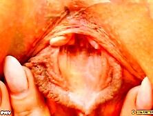 HetHero Rmx. Ver. 2. 1 'Alpha Ultimatum' HypnoGoonSex