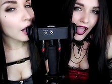 Asmr Kittyklaw Vampire  Hunter Ear Licking