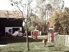 sex comedy funny german vintage 11