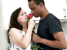 A Rose From Aphrodite