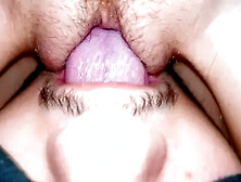 the Wife Moans from Cunnilingus,  Close-up,  Sitting on Her Face with a Wet Pussy.