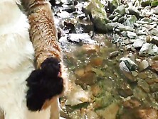 fursuiter paws off and cums outside