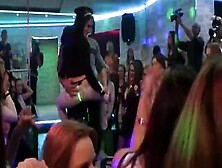 Hot Kittens Get Fully Silly And Undressed At Hardcore Party