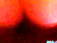 Jamrocksverige mot Surinam