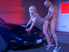 Classy blonde Stormy Daniels hooks up with a rich guy